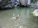 Hundeurlaub - Amie badet im Wasserfall in Tignale/Aer