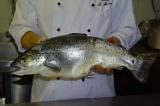 Eine Spezialität der Osteria La Miniera ist Fisch